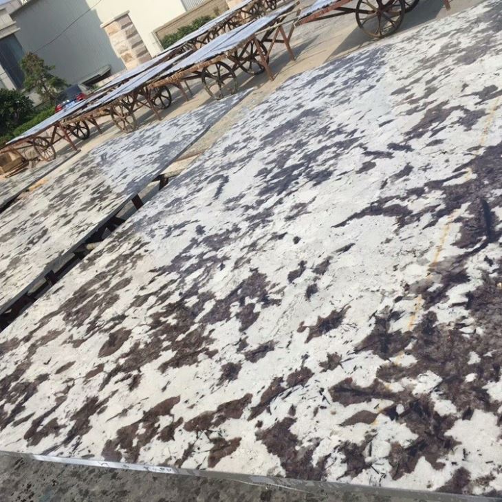 Polished Delicatus White Granite Slabs (5)