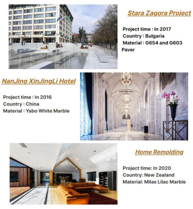 Project Cases Project Cases